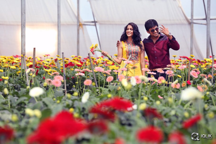 Bhale Bhale Magadivoy